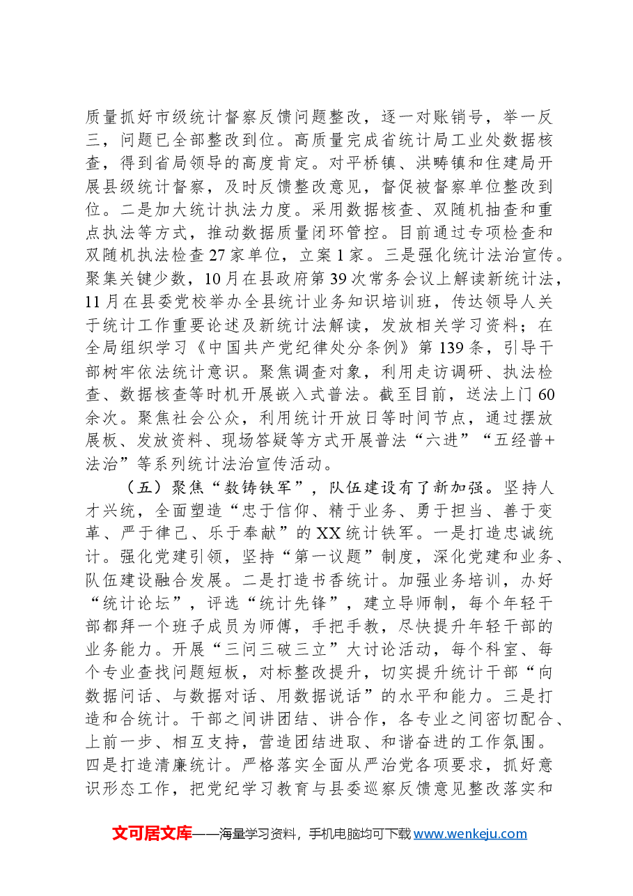 县统计局2024年工作总结2025年工作思路.docx,第3页预览