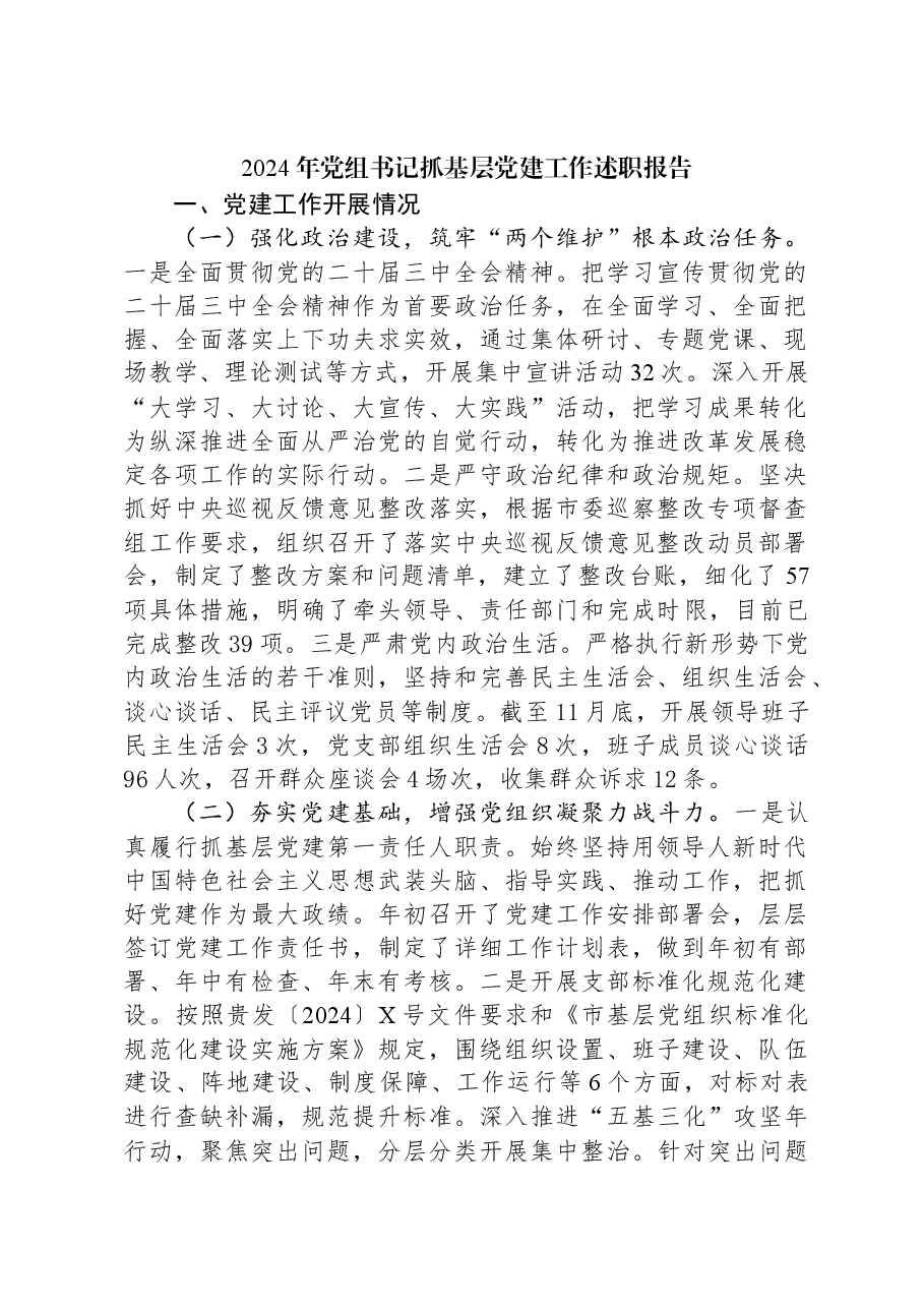 2024年党组书记抓基层党建工作述职报告.docx,第1页预览