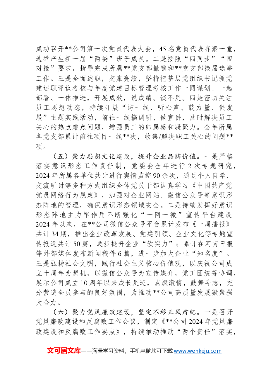 公司党委关于2024年工作总结及2025年工作计划.docx,第3页预览