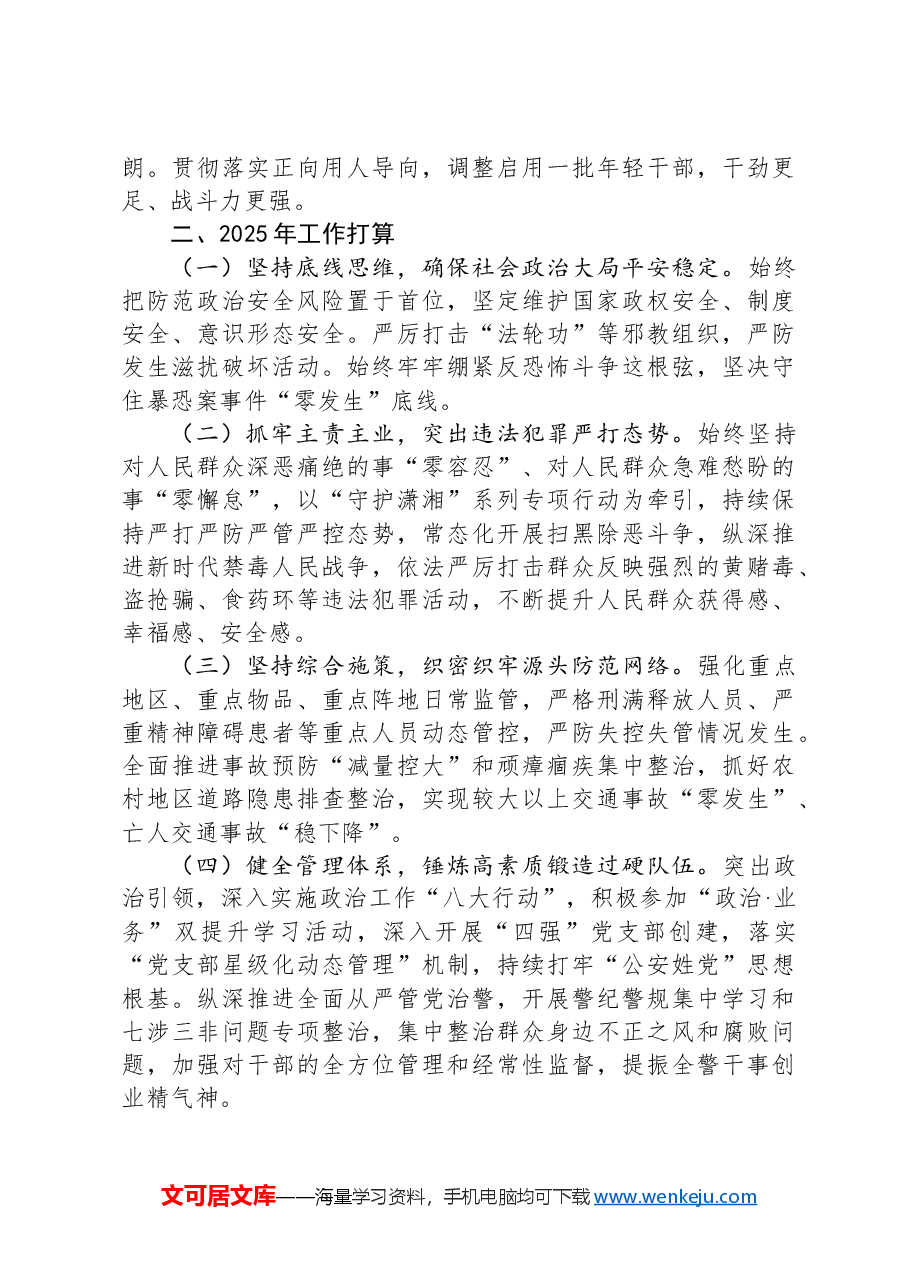 XX公安分局2024年工作总结.docx,第3页预览