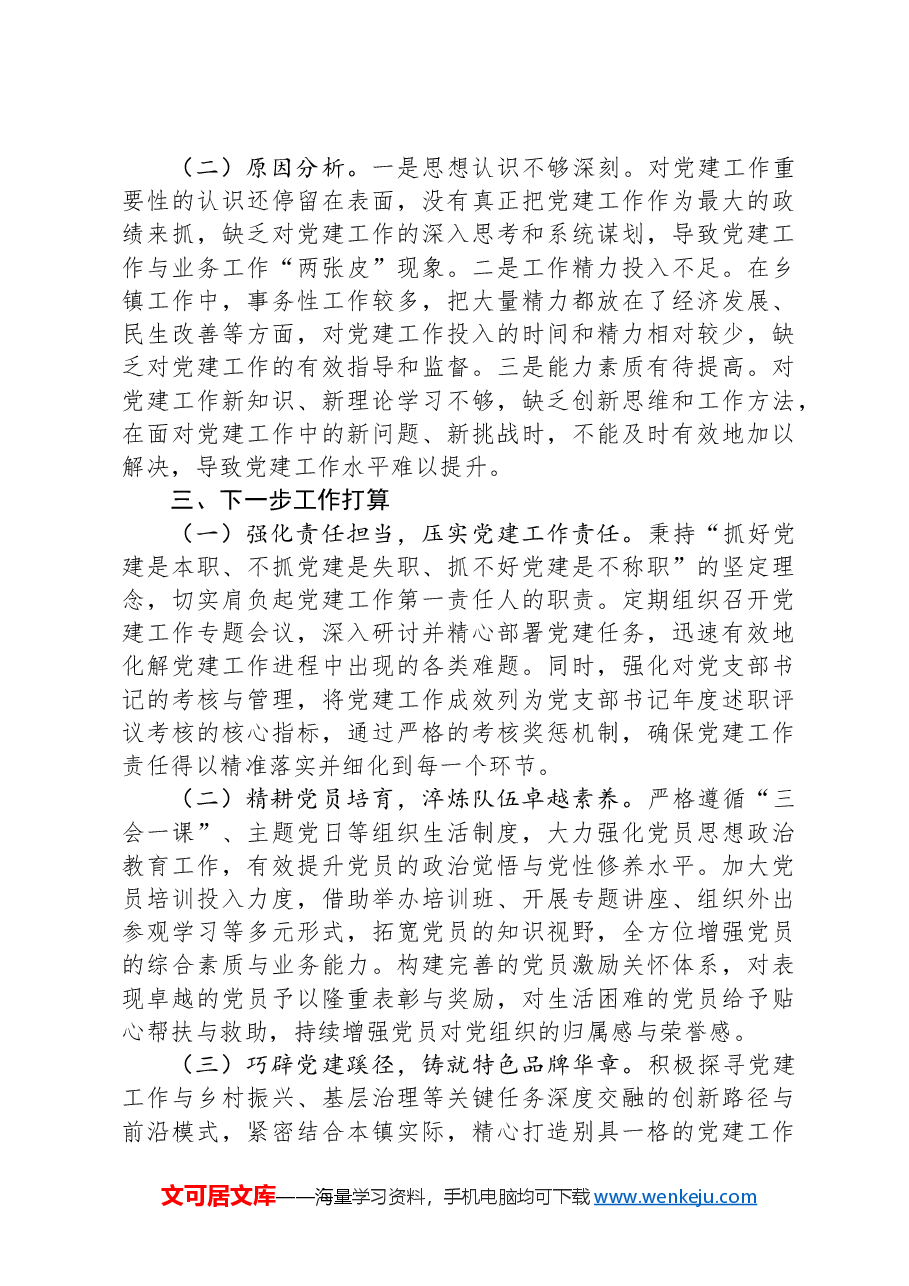 2024年度乡镇党委书记抓基层党建述职报告.docx,第3页预览