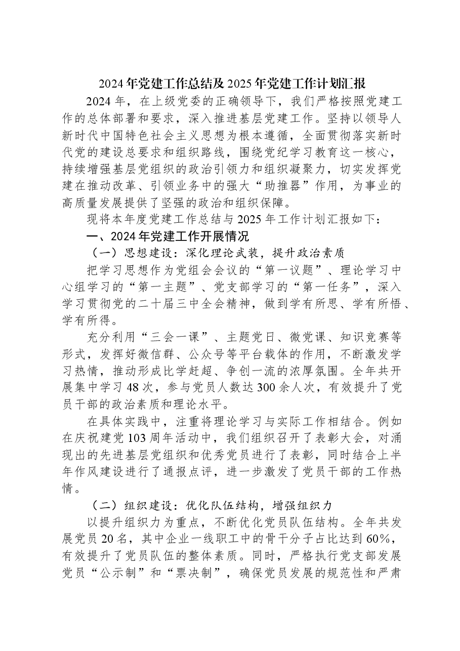 2024年党建工作总结及2025年党建工作计划汇报.docx，第1页预览