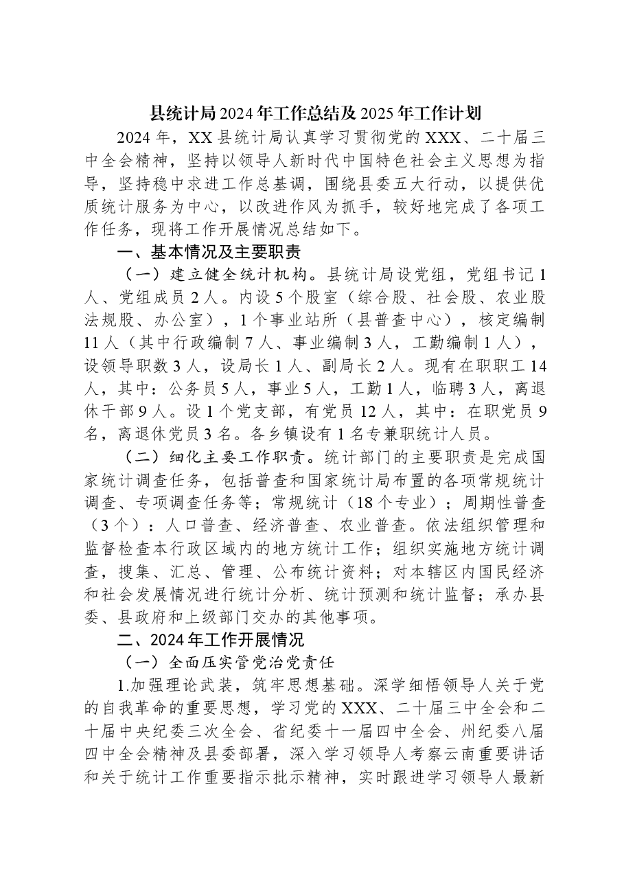 县统计局2024年工作总结及2025年工作计划.docx,第1页预览