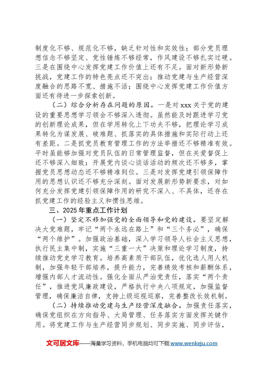 国有企业2024年度书记抓党建述职报告.docx,第3页预览