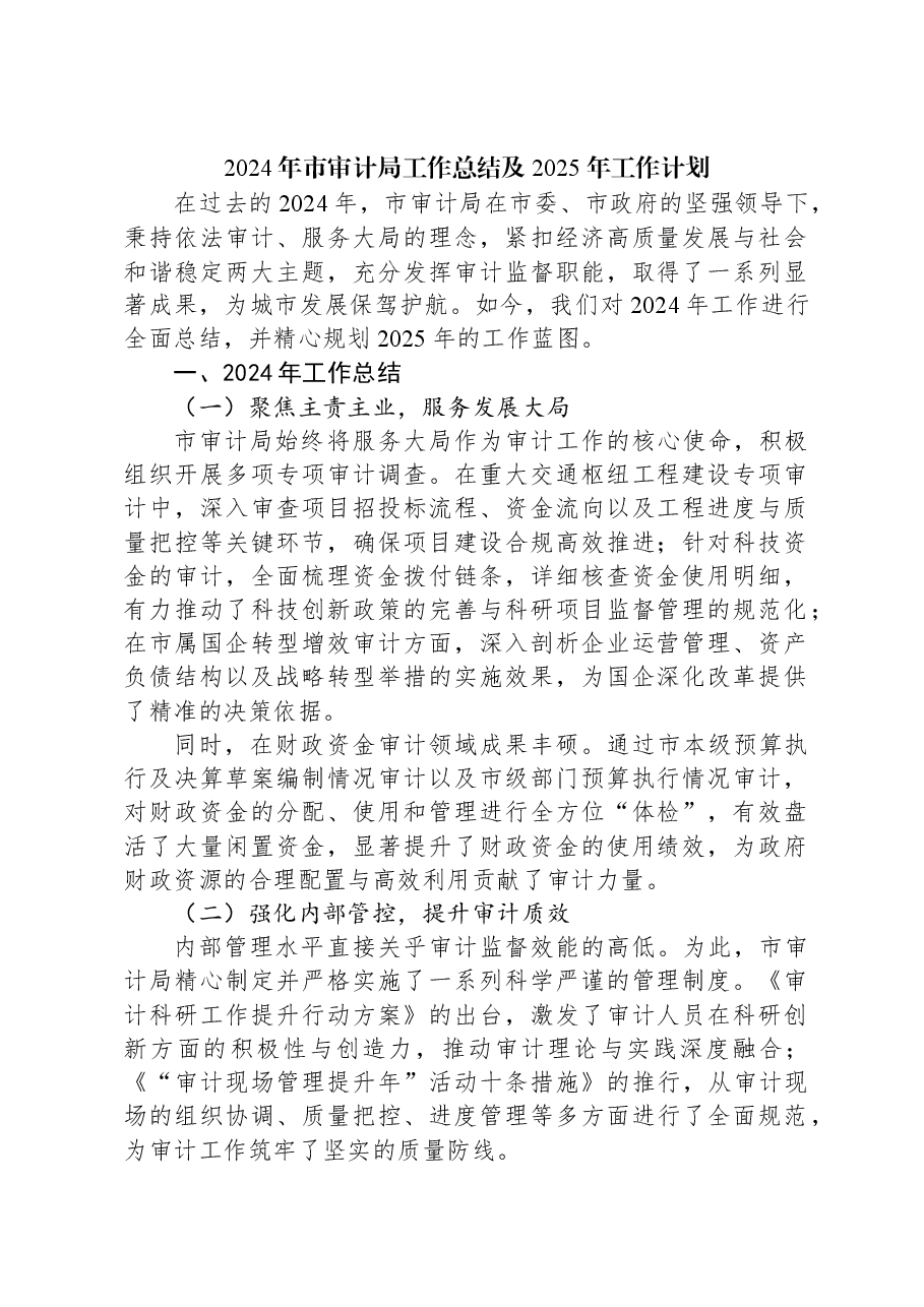 2024年市审计局工作总结及2025年工作计划.docx,第1页预览