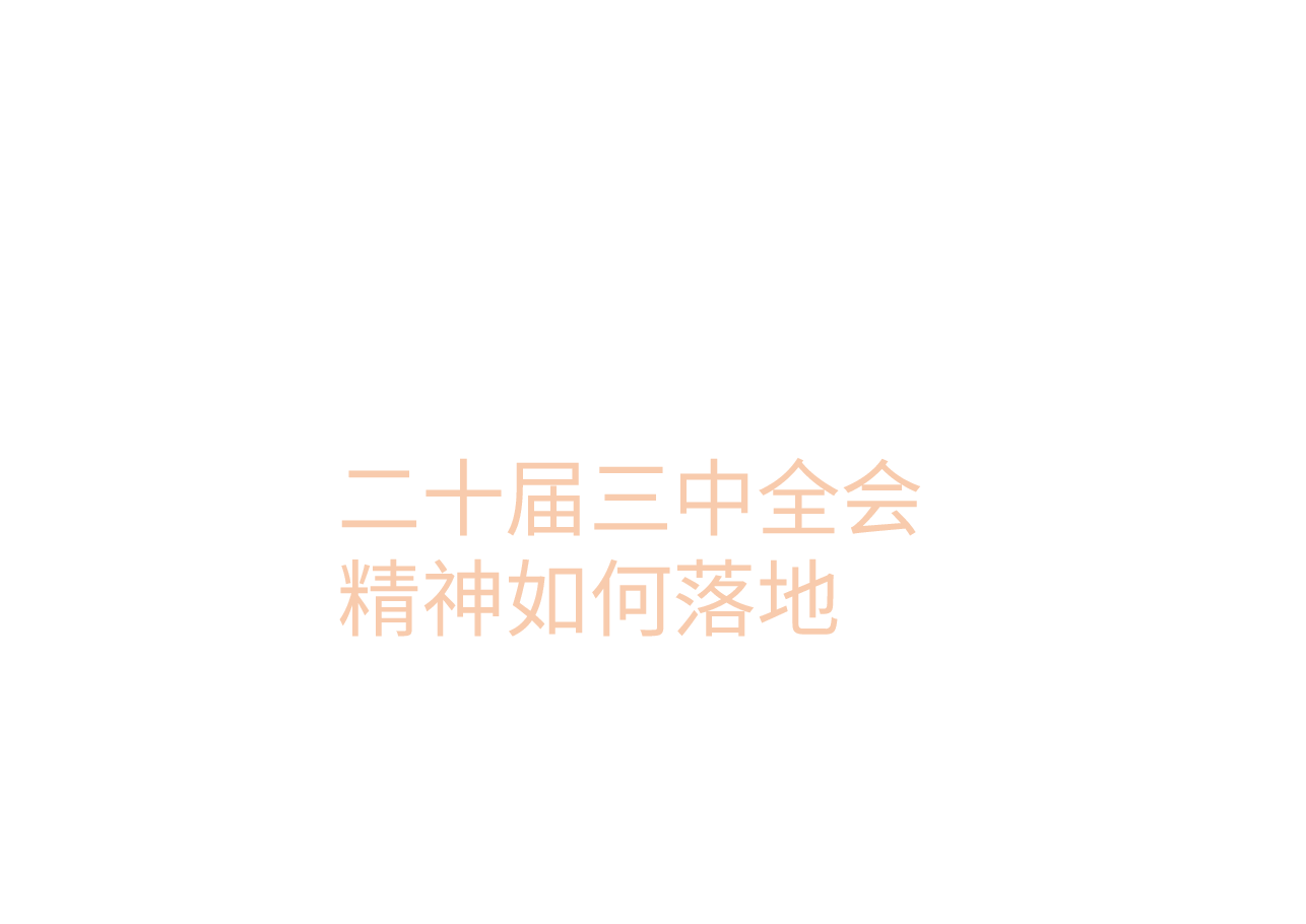 二十届三中全会精神如何落地.pptx,第1页预览