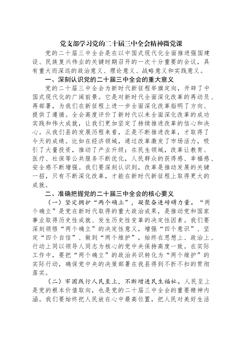 党支部学习党的二十届三中全会精神微党课.docx，第1页预览