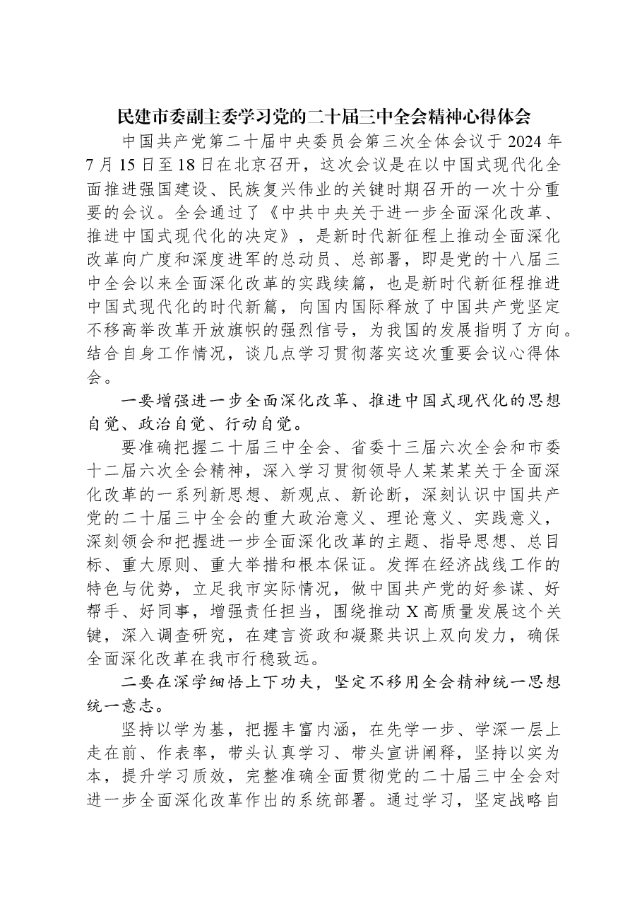 民建市委副主委学习党的二十届三中全会精神心得体会.docx,第1页预览