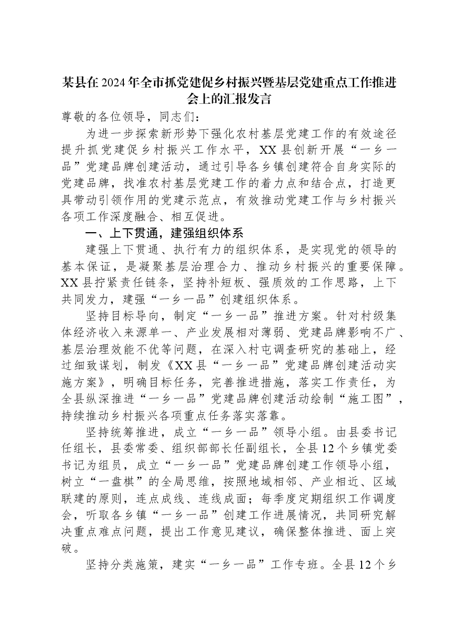 某县在2024年全市抓党建促乡村振兴暨基层党建重点工作推进会上的汇报发言.docx,第1页预览