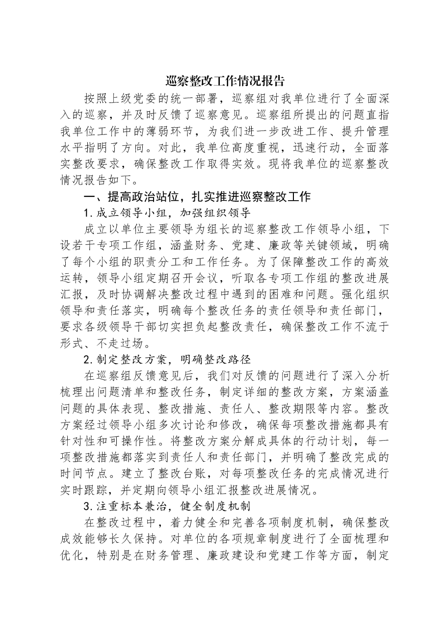 巡察整改工作情况报告.docx,第1页预览
