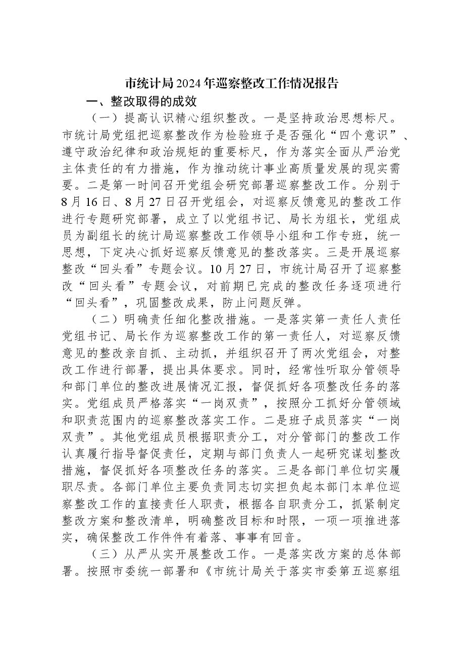 市统计局2024年巡察整改工作情况报告.docx,第1页预览
