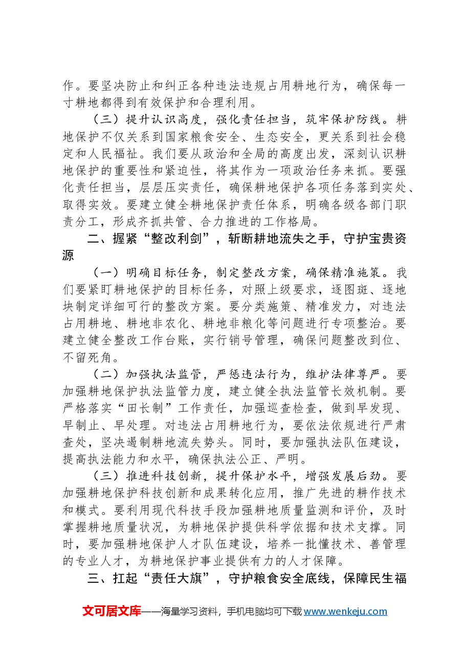 在2024年全县耕地保护和粮食安全责任制考核工作推进会上的讲话.docx,第2页预览