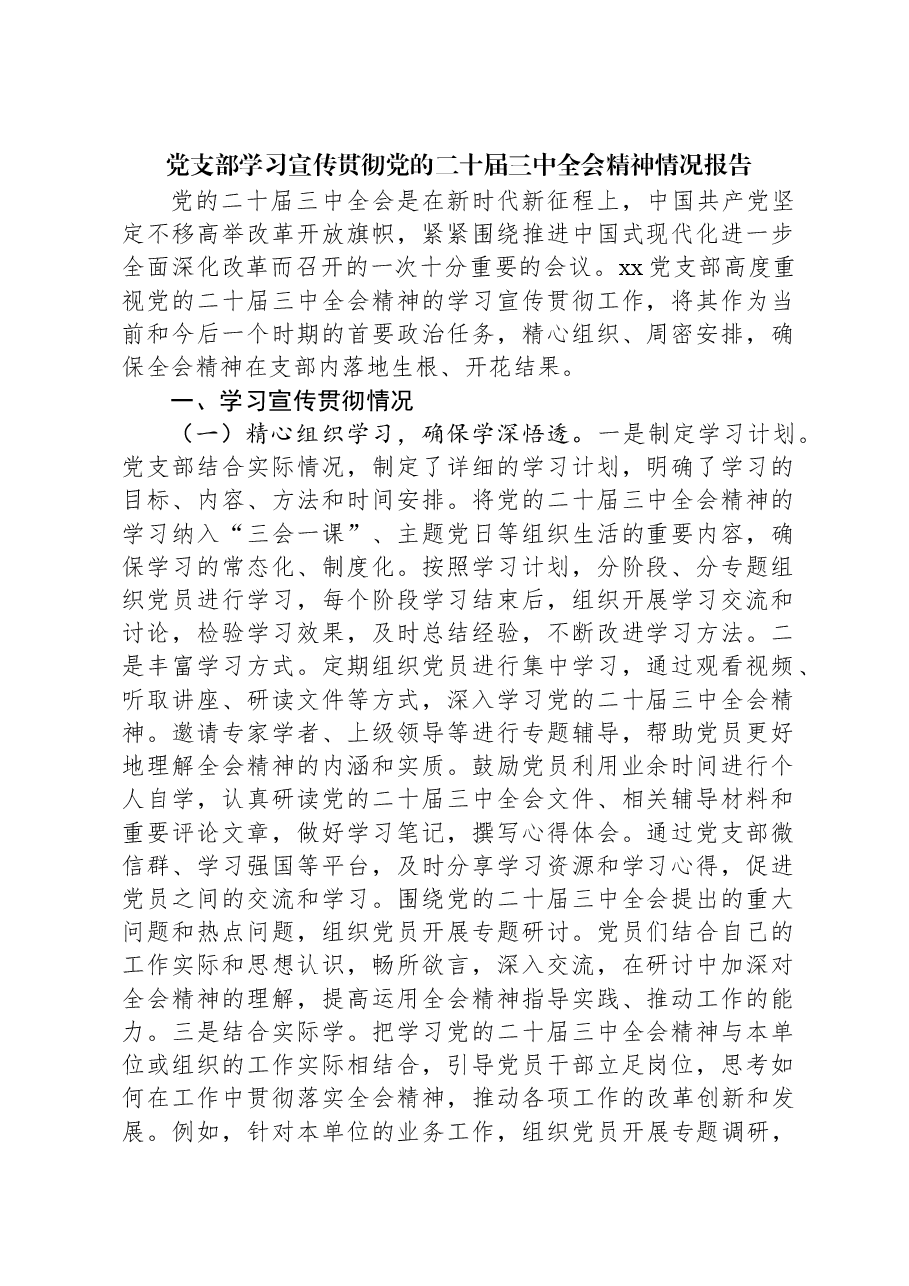 党支部学习宣传贯彻党的二十届三中全会精神情况报告.docx,第1页预览