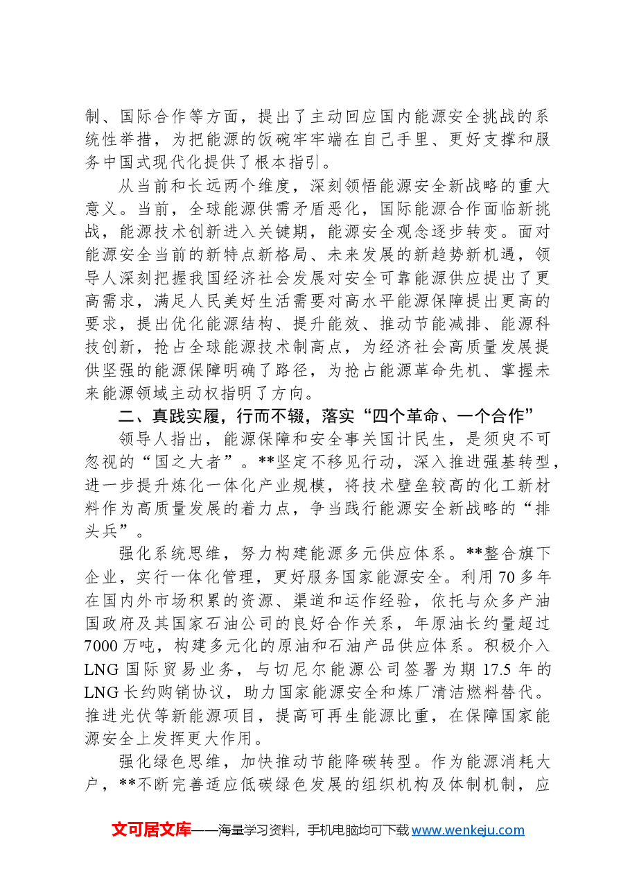 在2024年全省能源工作座谈交流会上的发言.docx，第2页预览