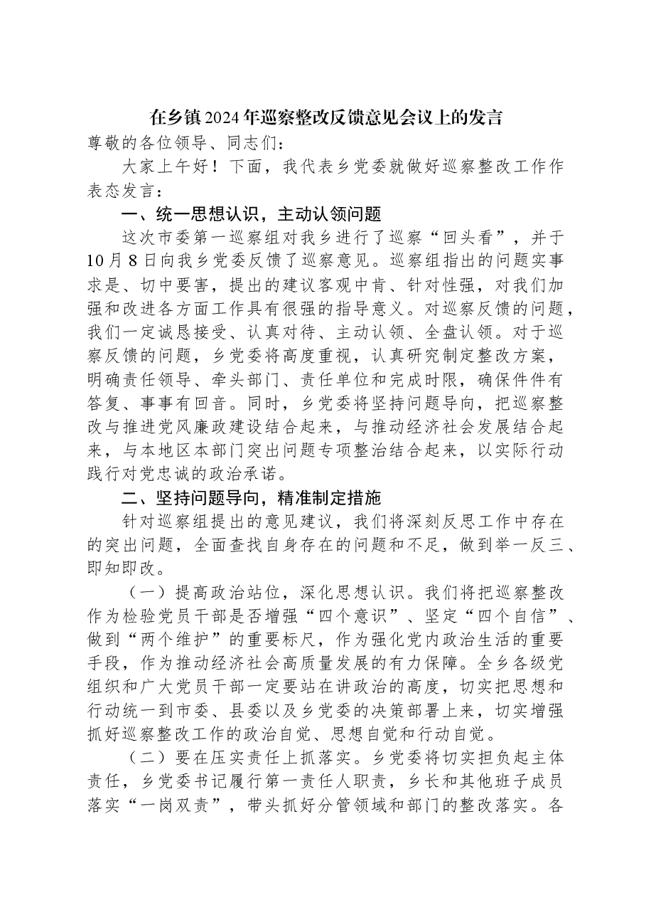 在乡镇2024年巡察整改反馈意见会议上的发言.docx,第1页预览