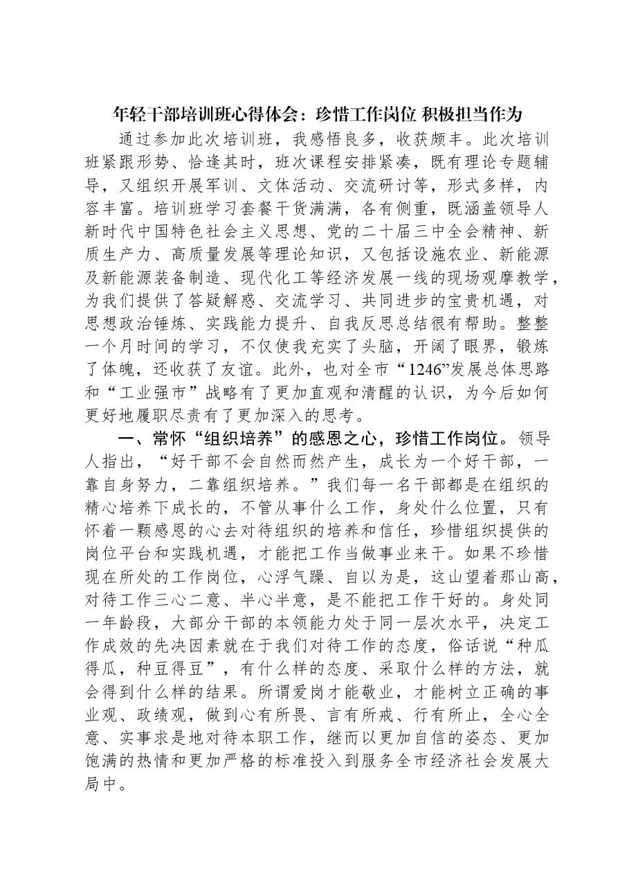 年轻干部培训班心得体会:珍惜工作岗位+积极担当作为.docx,第1页预览