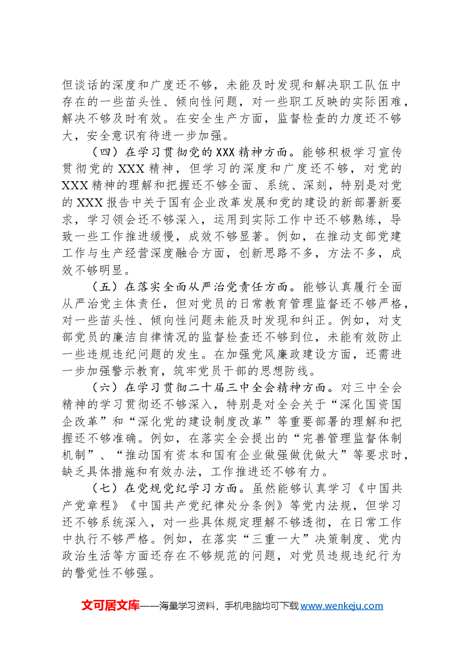 2024年度国企(能源公司)基层党支部书记巡察整改组织生活会个人对照检查发言材料.docx,第2页预览