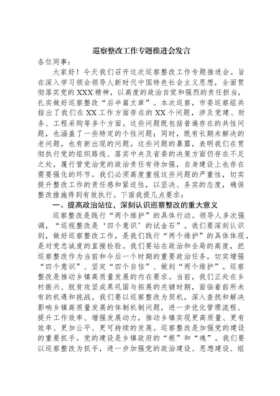 巡察整改工作专题推进会发言.docx,第1页预览