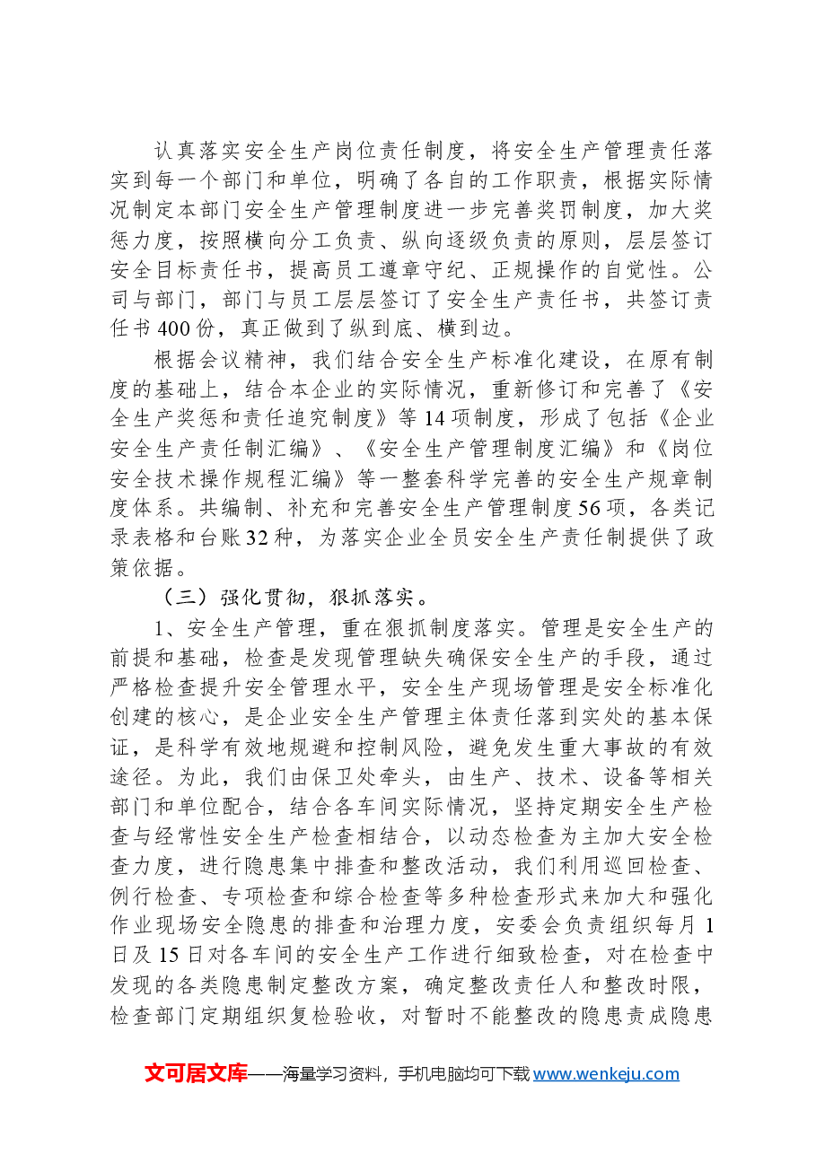 落实企业安全生产主体责任汇报材料.docx,第3页预览