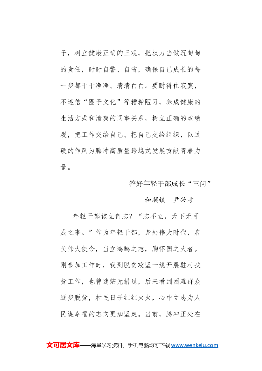 (4篇)腾冲市年轻干部交流座谈会发言材料汇编(青年干部).doc,第4页预览