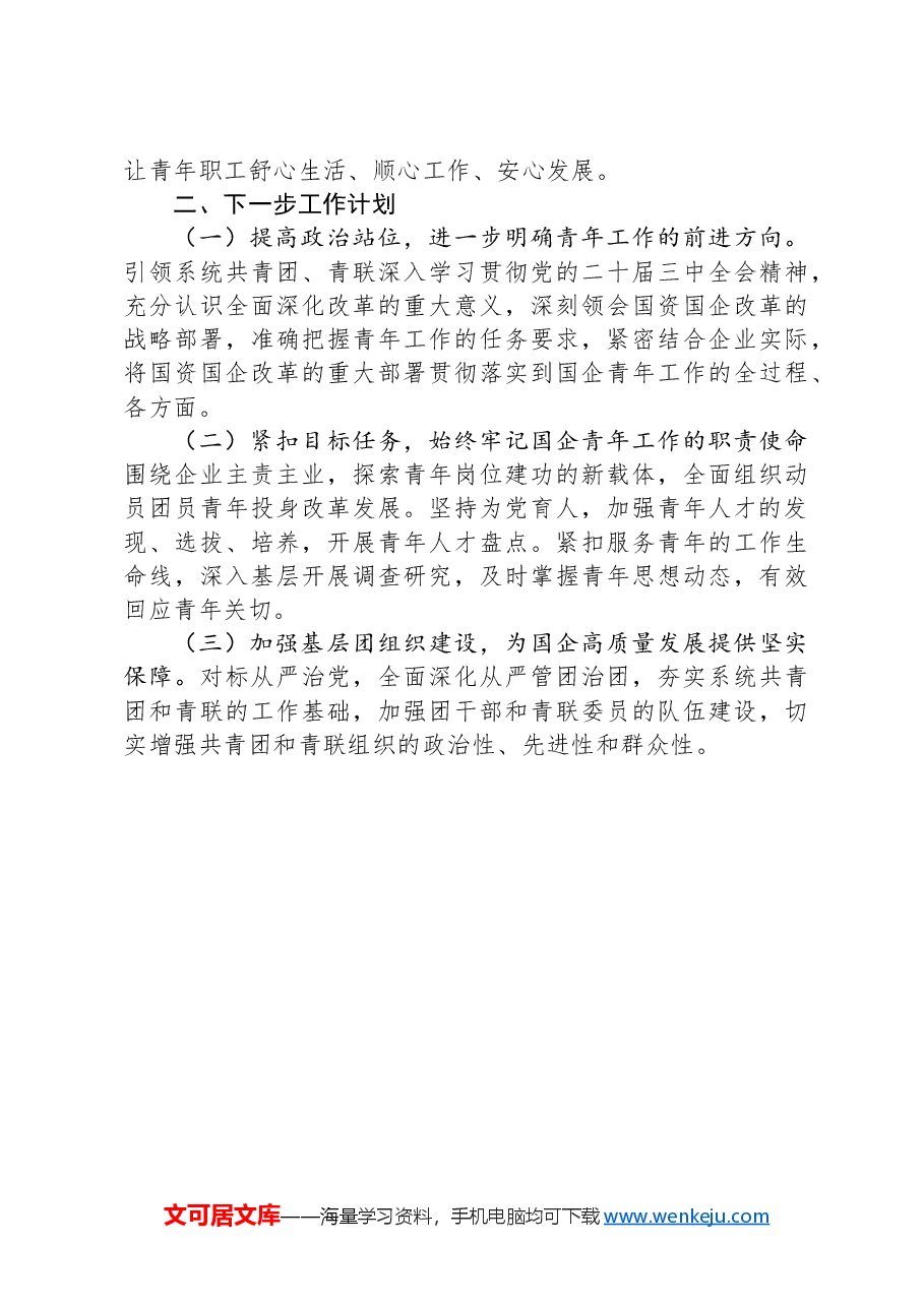 国有企业党委关于2024年青年思想政治工作情况的报告.docx,第4页预览
