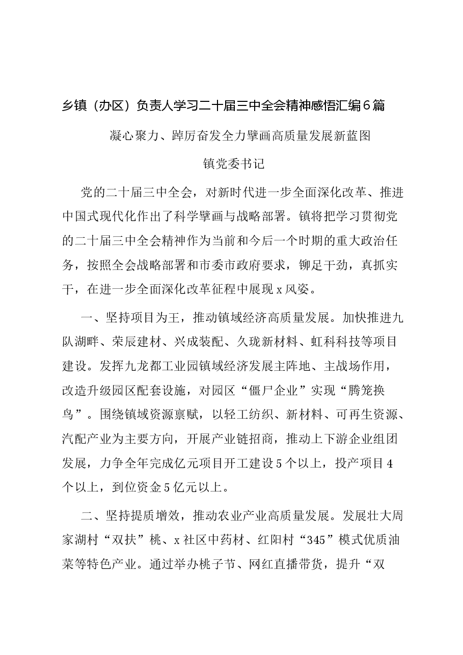 (6篇)乡镇(办区)负责人学习二十届三中全会精神感悟汇编.docx,第1页预览