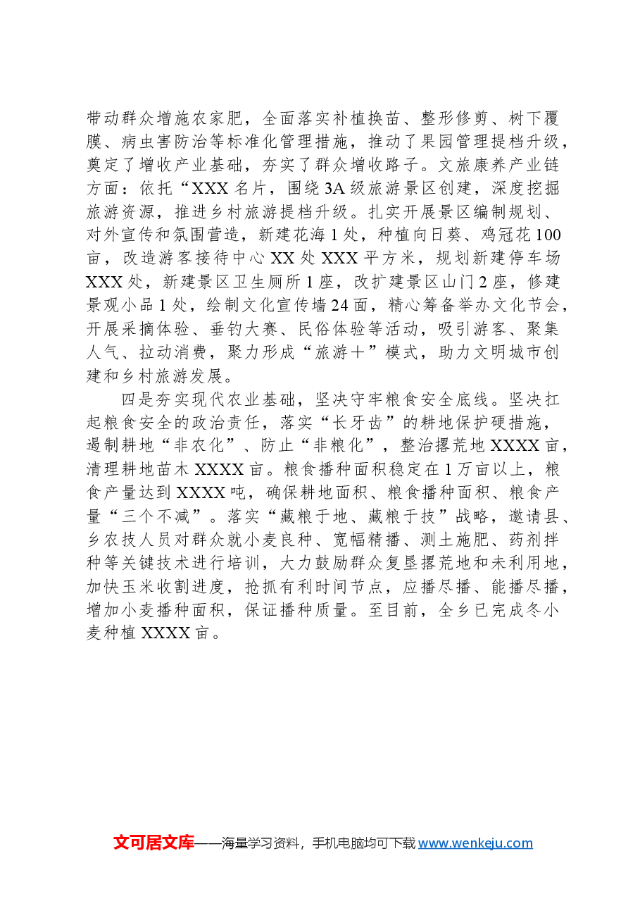 年终工作督查乡镇党委书记汇报.docx,第3页预览