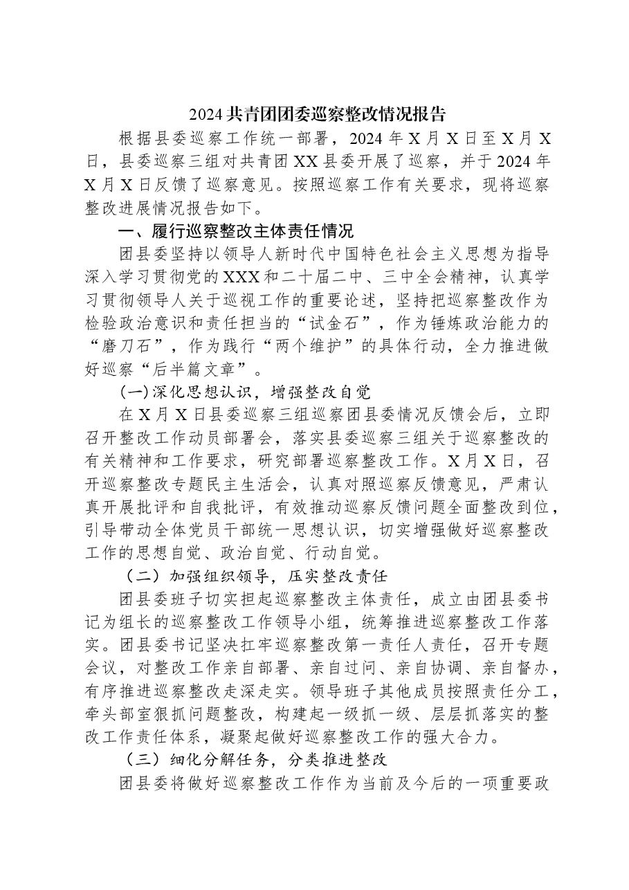 2024共青团团委巡察整改情况报告.docx，第1页预览