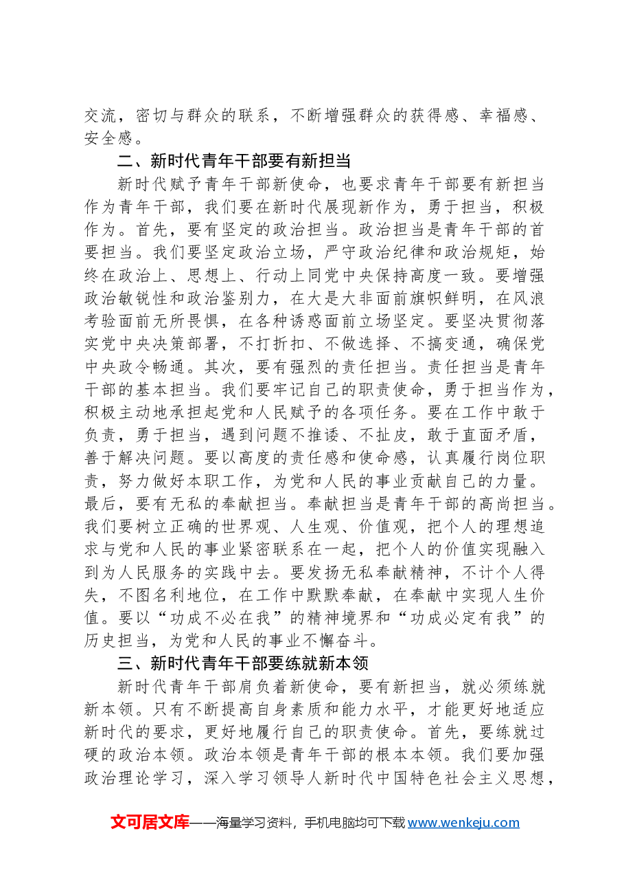 在青年干部座谈会上的研讨发言.docx,第2页预览