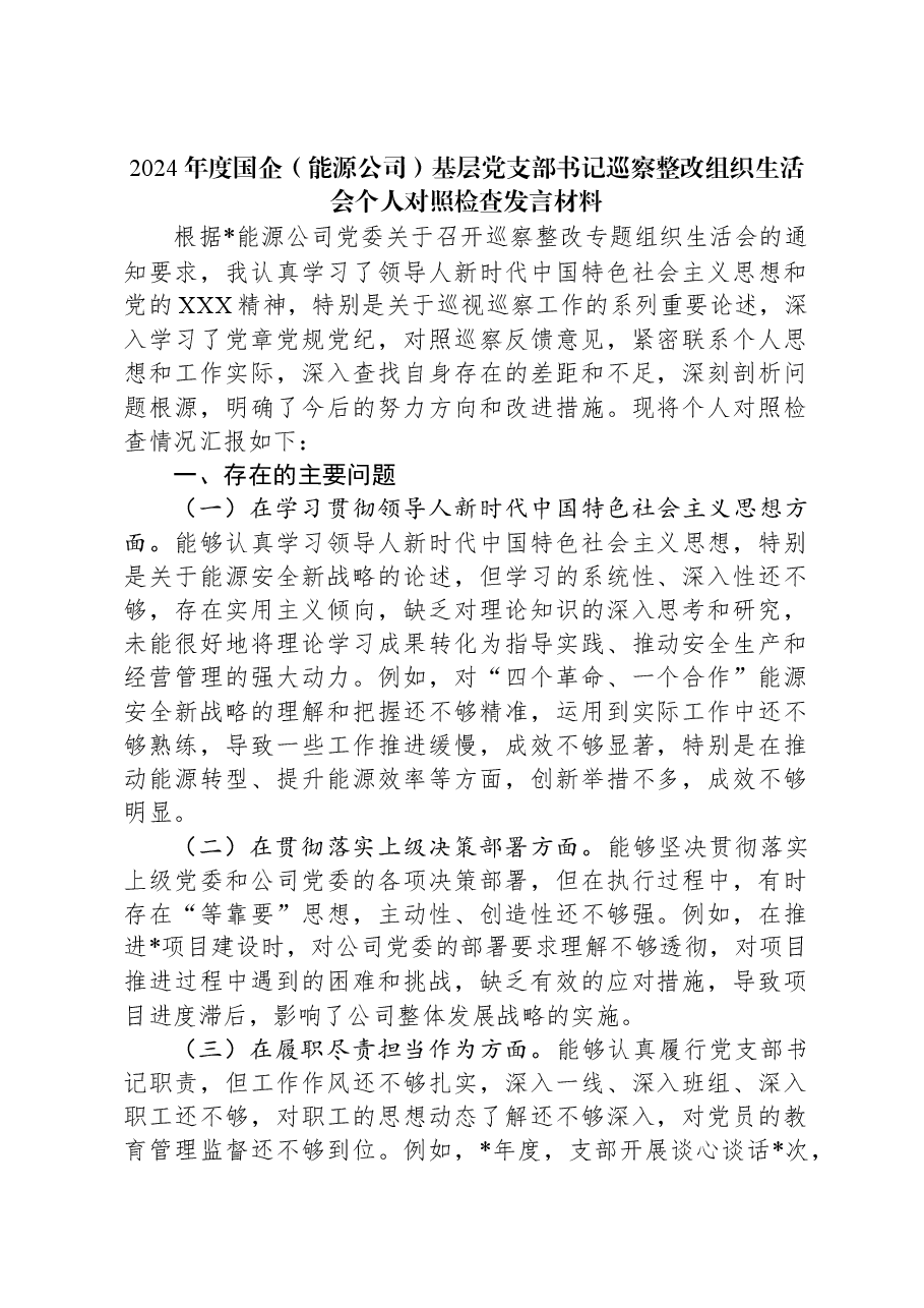 2024年度国企(能源公司)基层党支部书记巡察整改组织生活会个人对照检查发言材料.docx,第1页预览