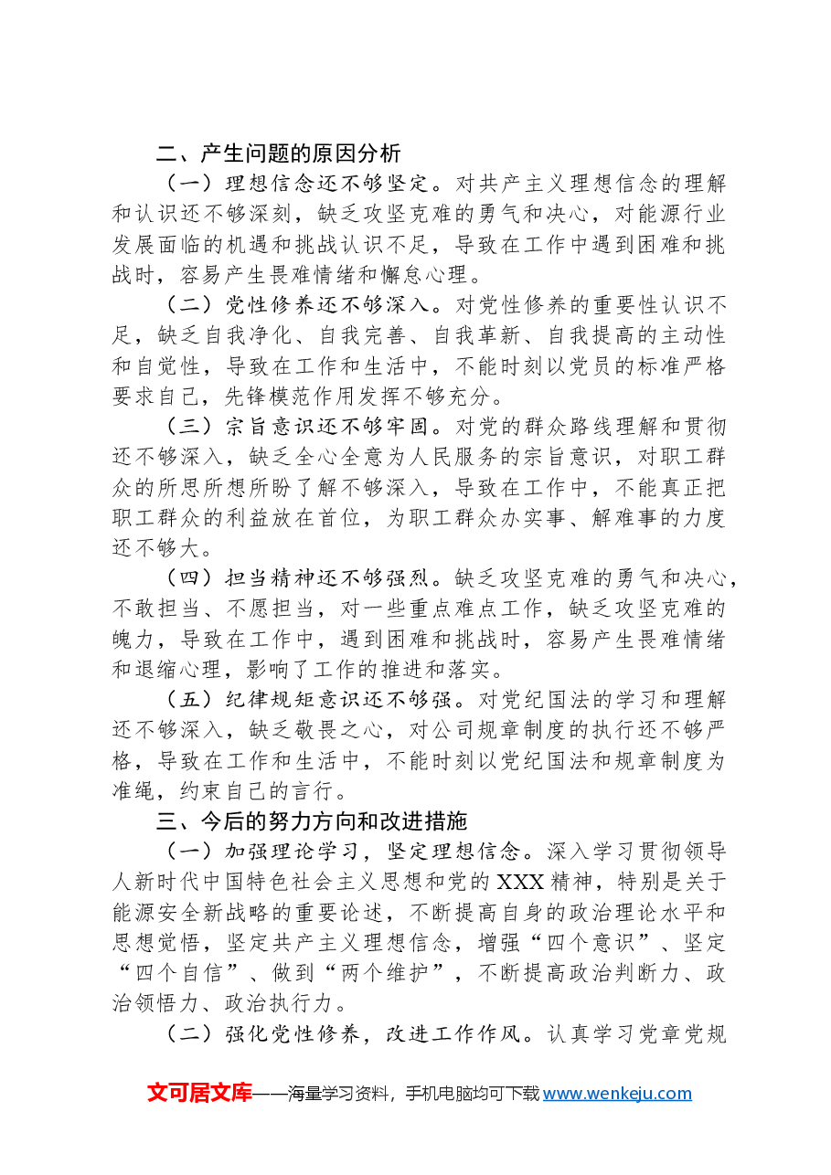 2024年度国企(能源公司)基层党支部书记巡察整改组织生活会个人对照检查发言材料.docx,第3页预览