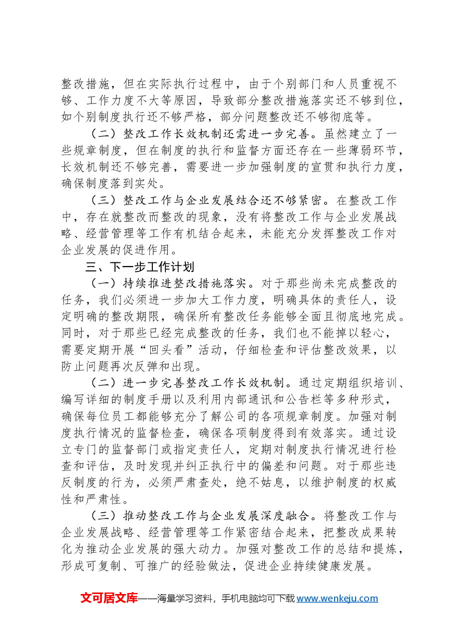 2024年国有企业巡察整改工作情况报告.docx,第3页预览