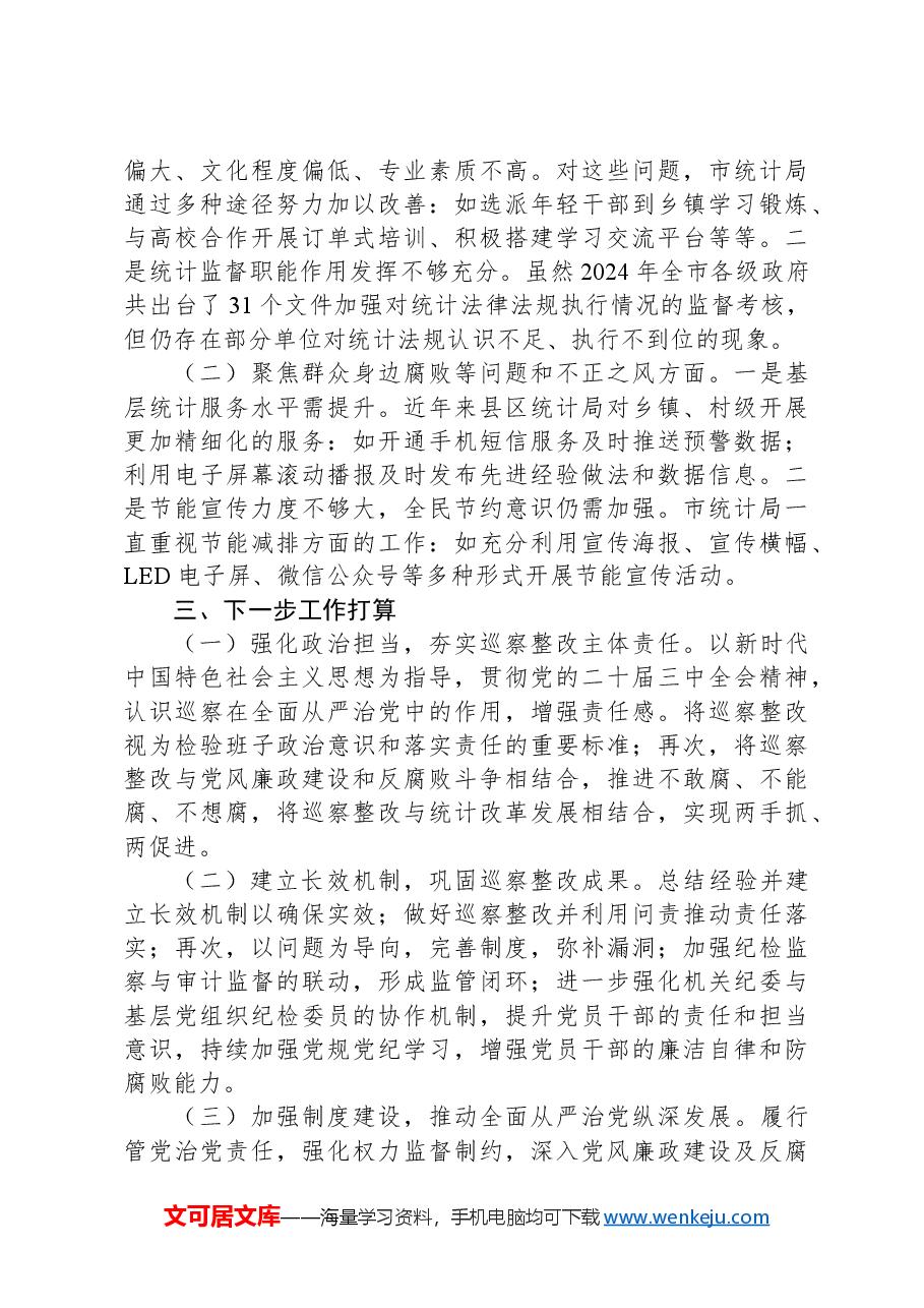 市统计局2024年巡察整改工作情况报告.docx,第3页预览