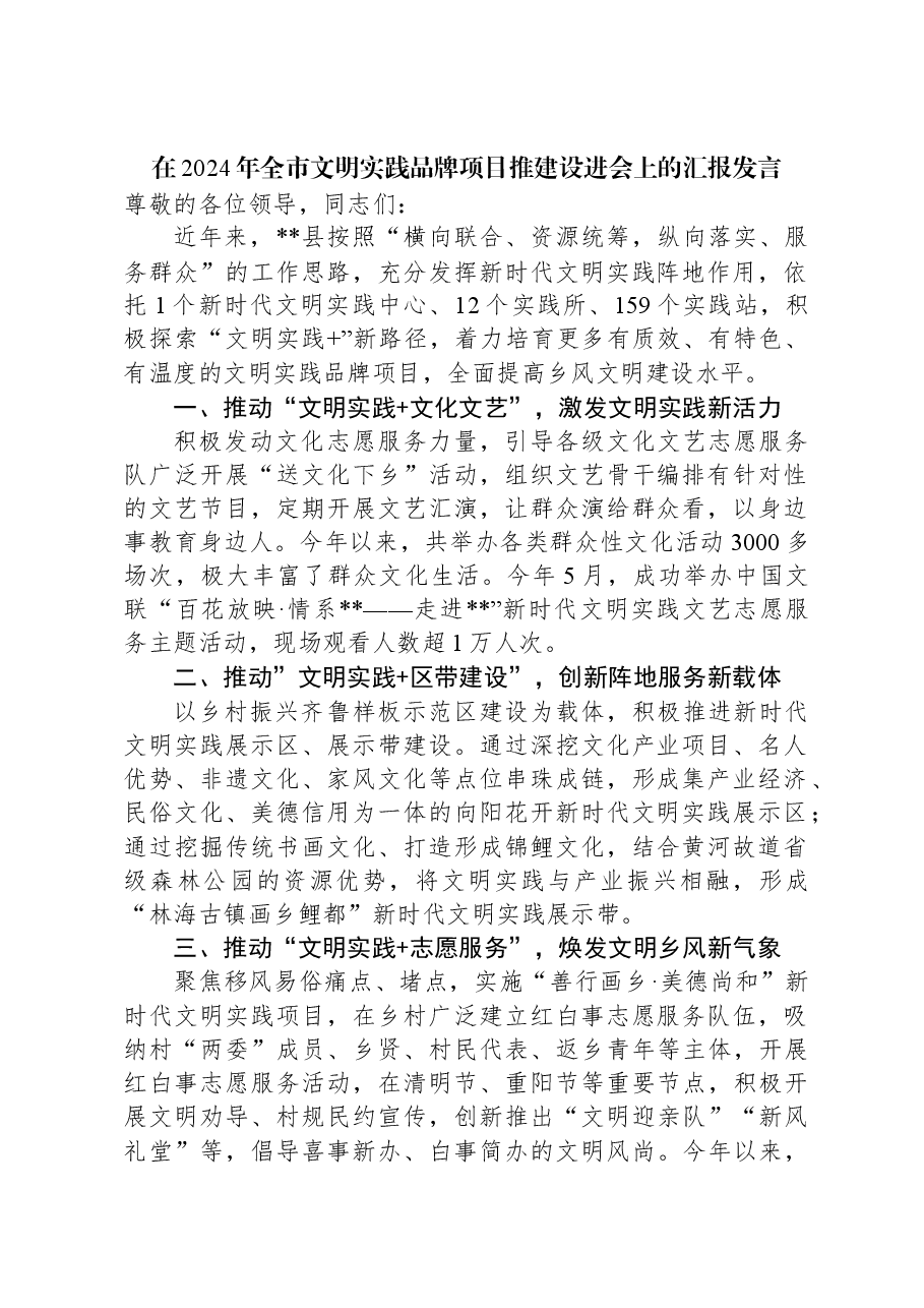 在2024年全市文明实践品牌项目推建设进会上的汇报发言.docx，第1页预览