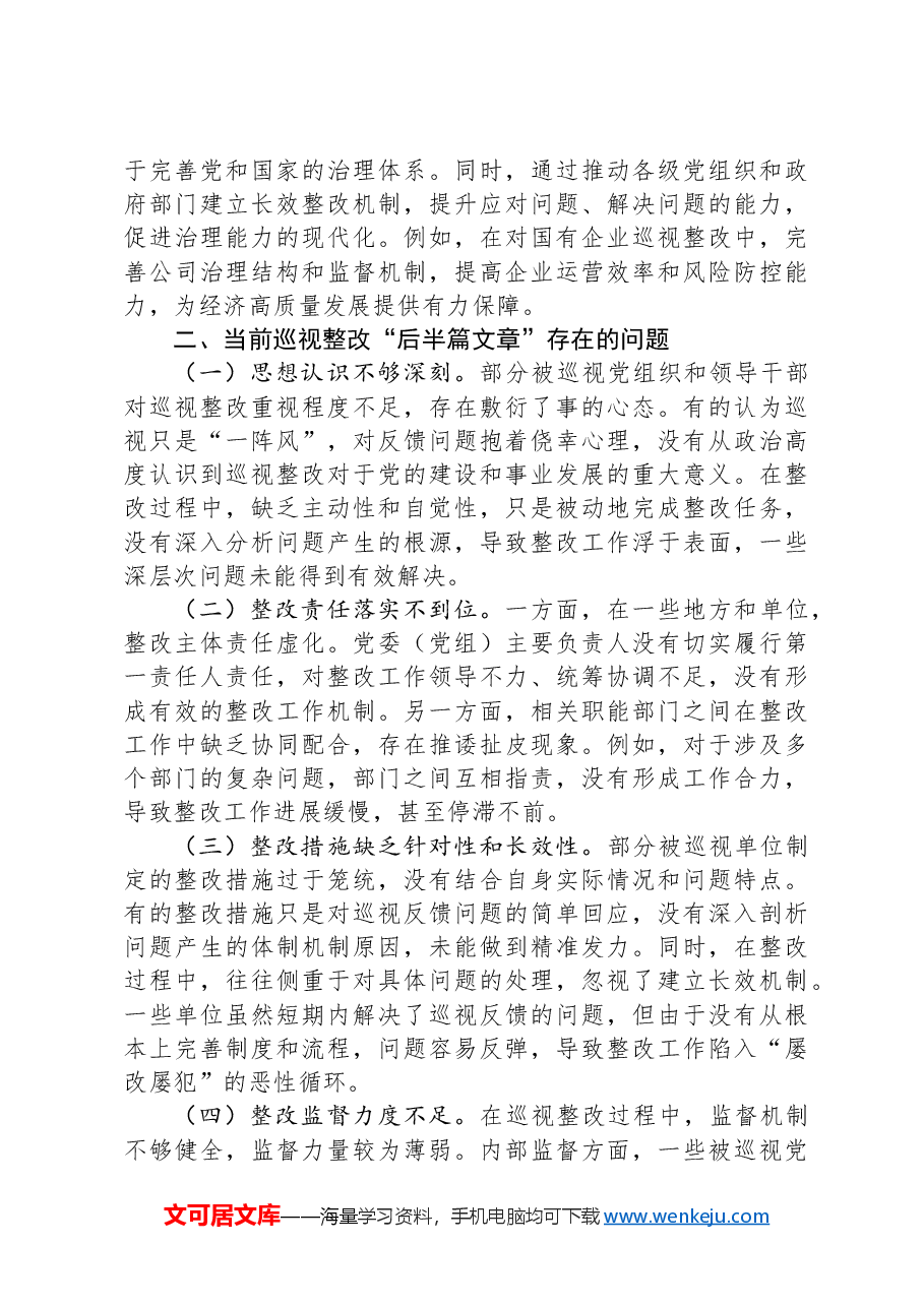 在做好巡视整改“后半篇文章”专题研讨会上的交流发言.docx,第2页预览