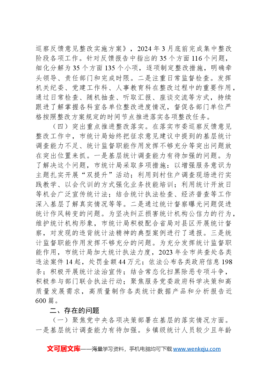 市统计局2024年巡察整改工作情况报告.docx,第2页预览