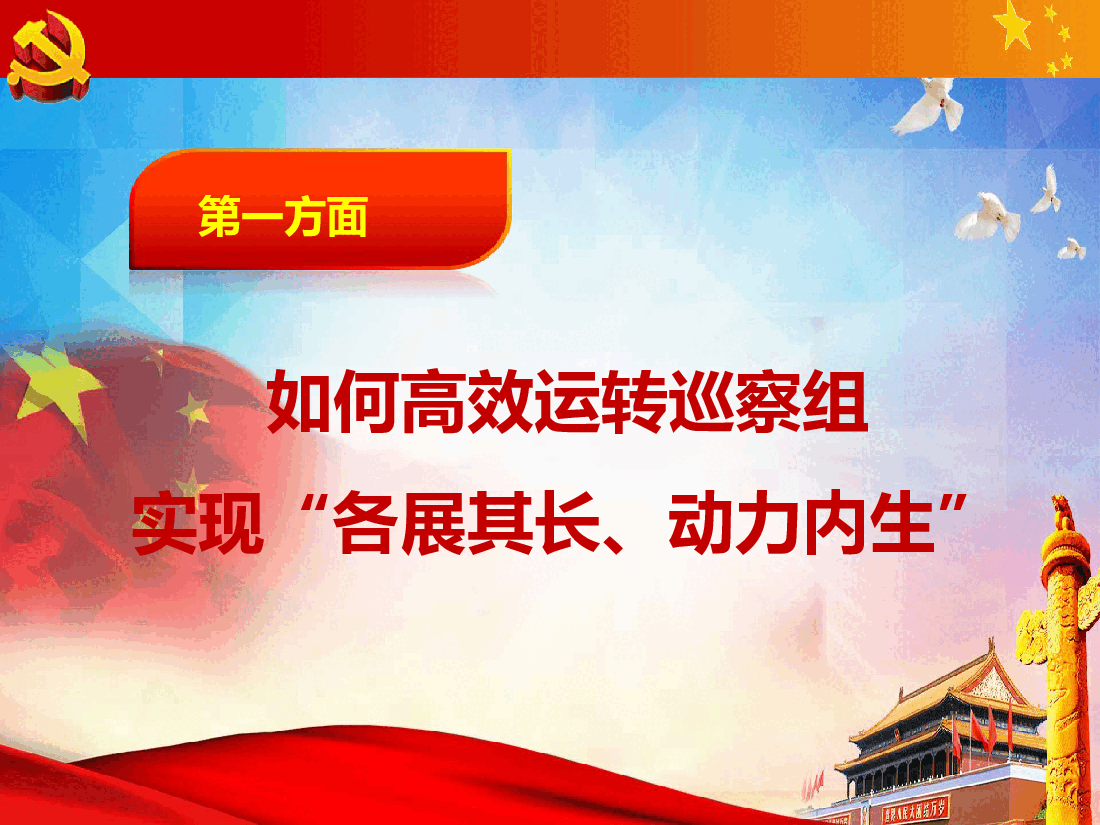 坚持问题导向--提升巡察实效.pptx,第3页预览