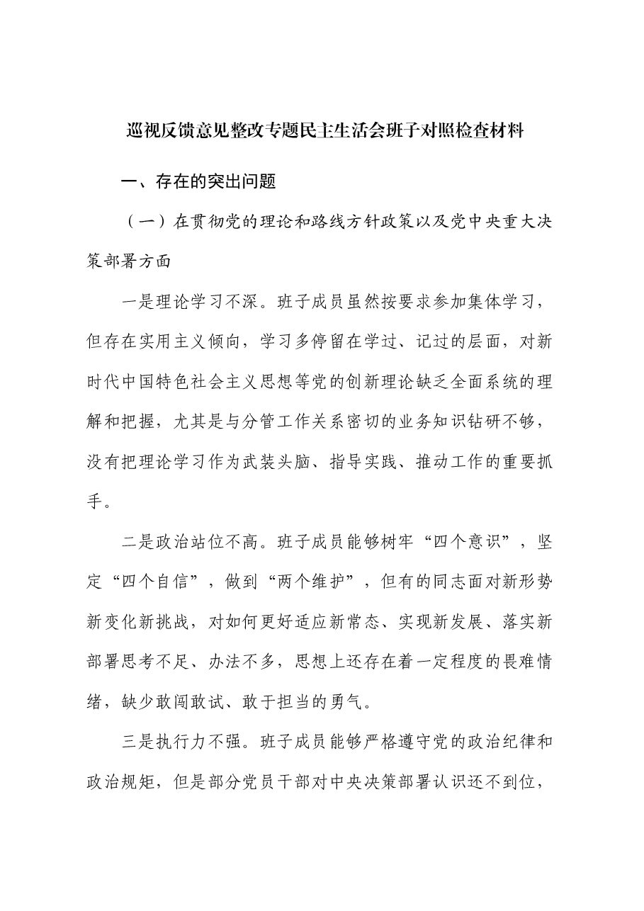 巡视反馈意见整改专题民主生活会班子对照检查.docx,第1页预览