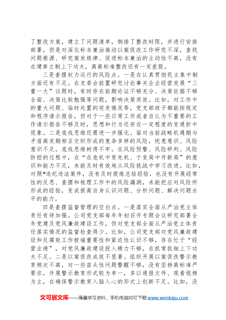 国企2024年党支部班子以案促改专题组织生活会对照检查材料.docx,第2页预览