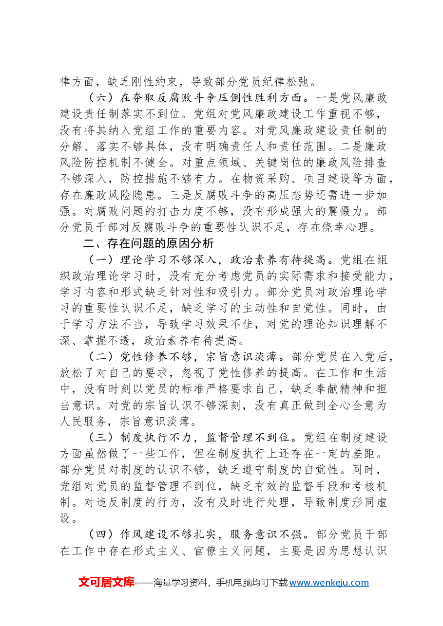 党组巡视巡察整改专题民主生活会对照检查材料.docx，第3页预览