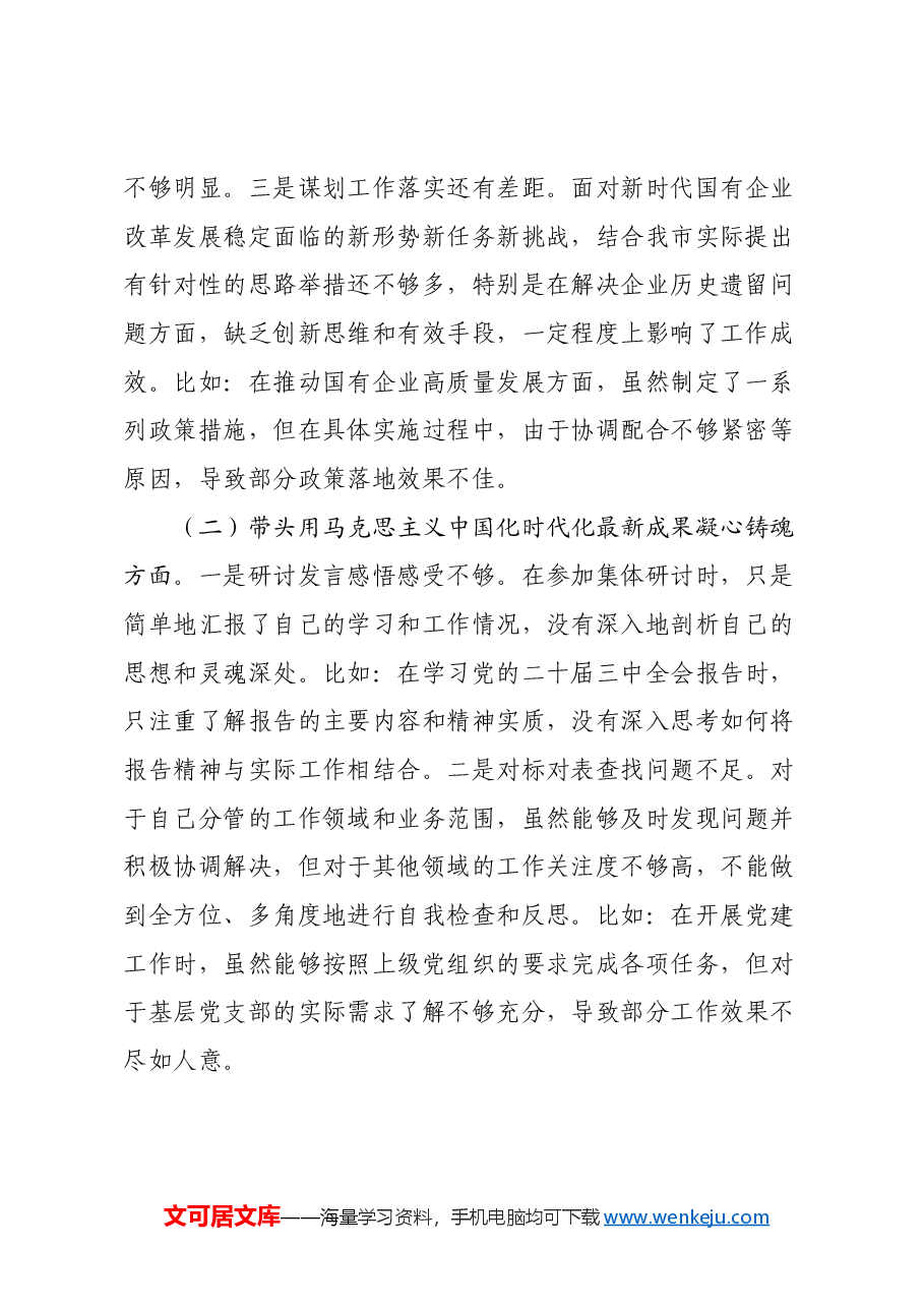 市国资委党委书记2024年民主生活会个人对照检查材料(2).docx,第2页预览