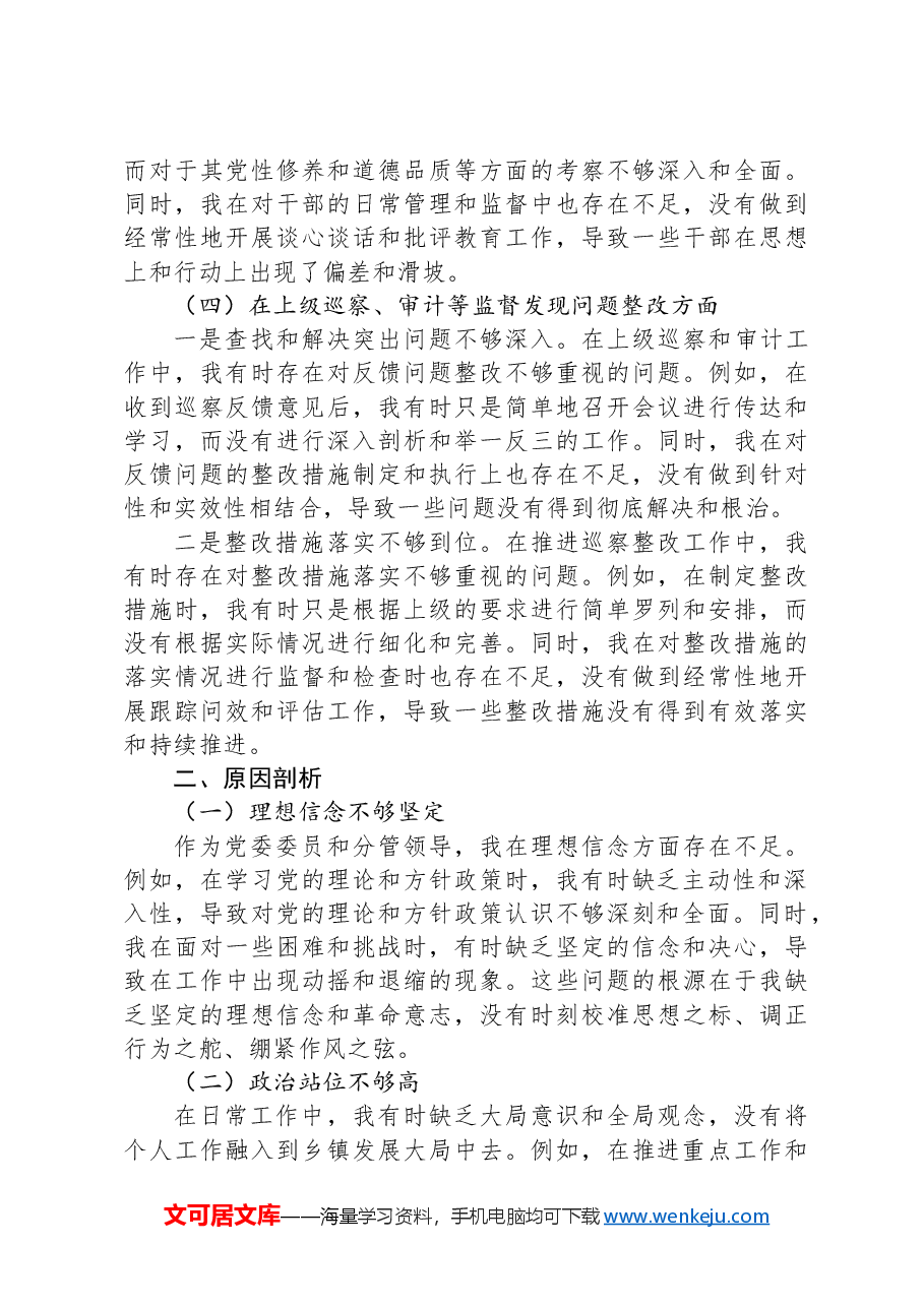 2024年乡镇党委委员巡视整改专题民主生活会个人对照检查材料.docx,第4页预览