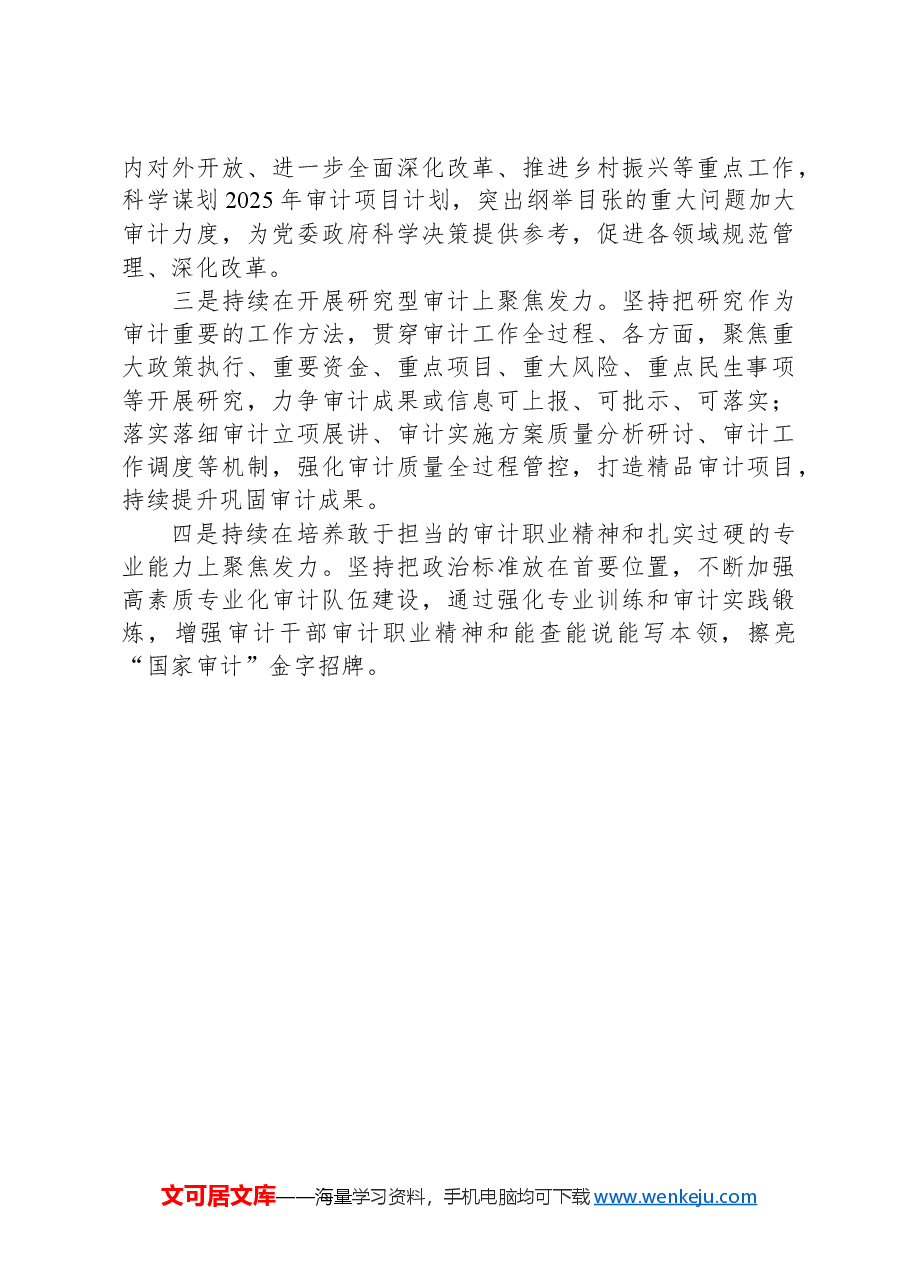 市审计局2024年工作总结和2025年工作计划.docx,第3页预览