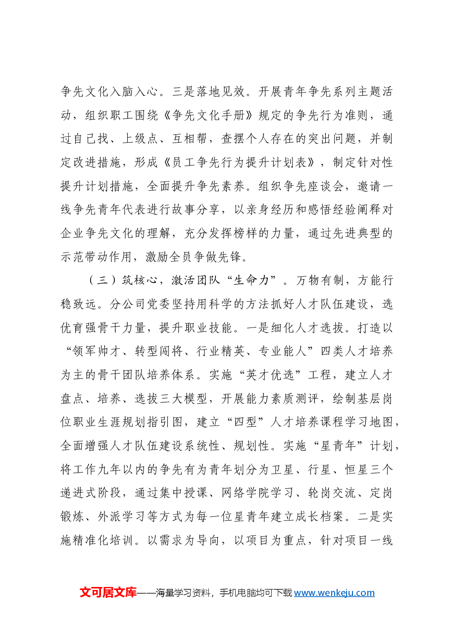国企党委2024年人才工作总结.docx,第3页预览