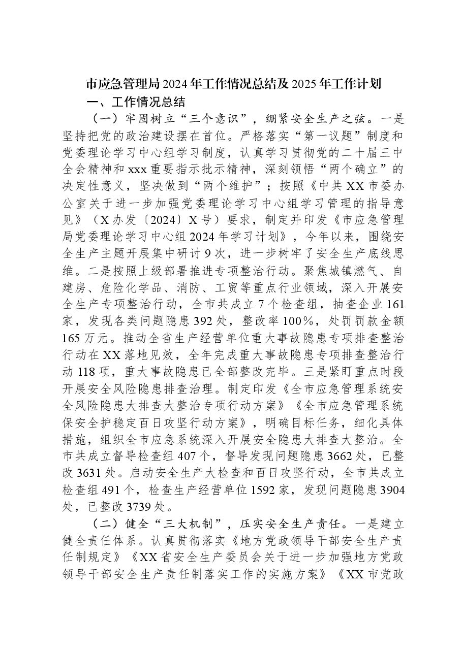市应急管理局2024年工作情况总结及2025年工作计划.docx,第1页预览