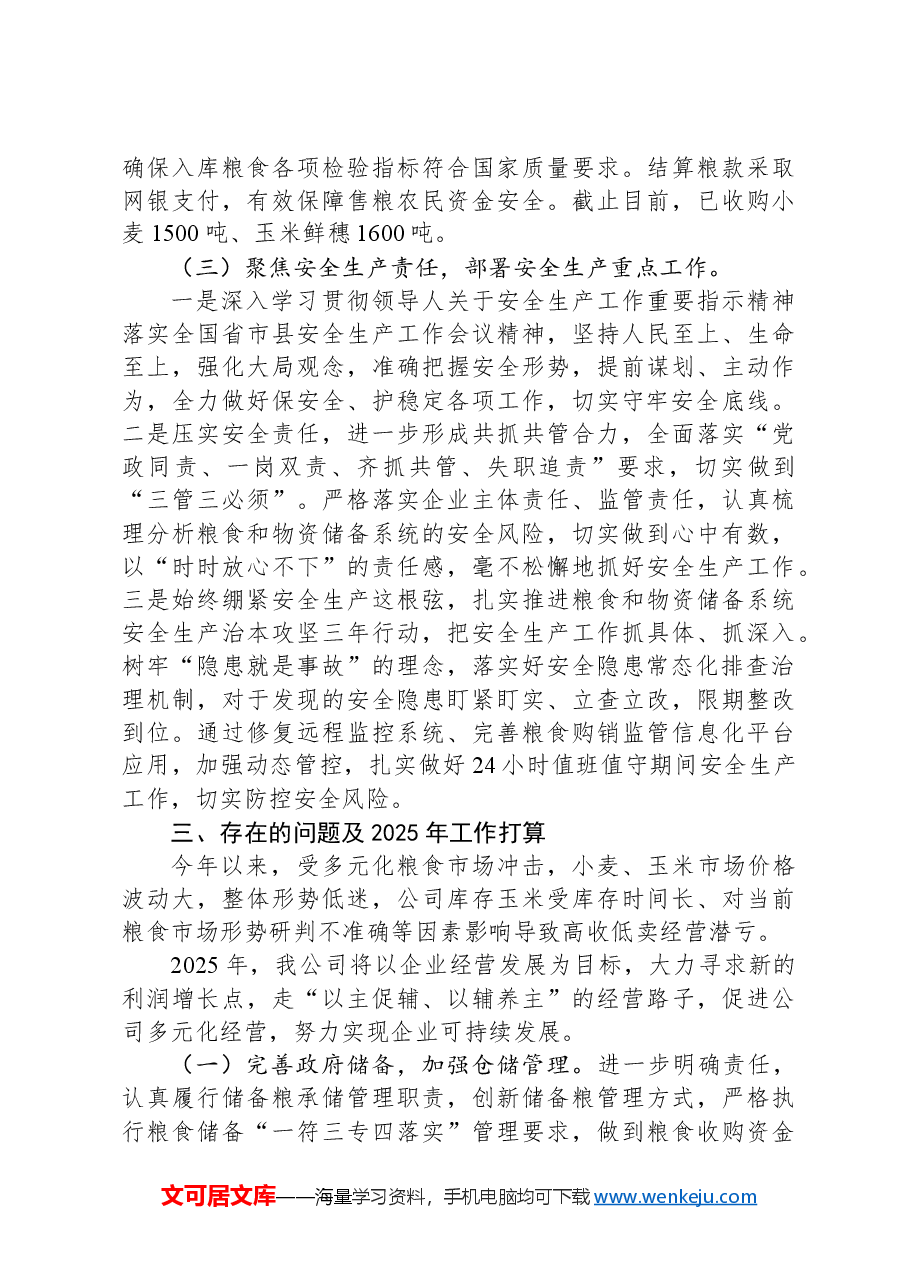 粮油公司2024年工作总结.docx,第3页预览