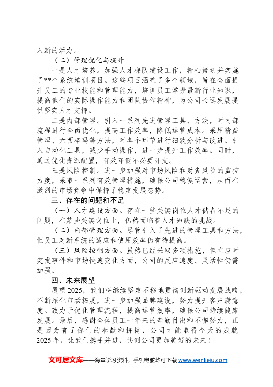 2024年度总经理个人工作总结.docx,第2页预览