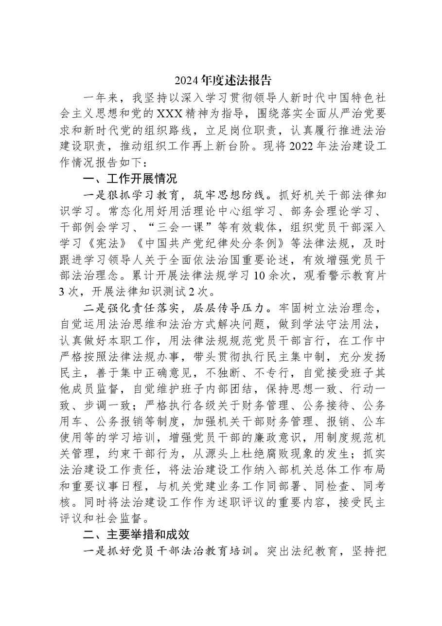 2024年度述法报告.docx,第1页预览