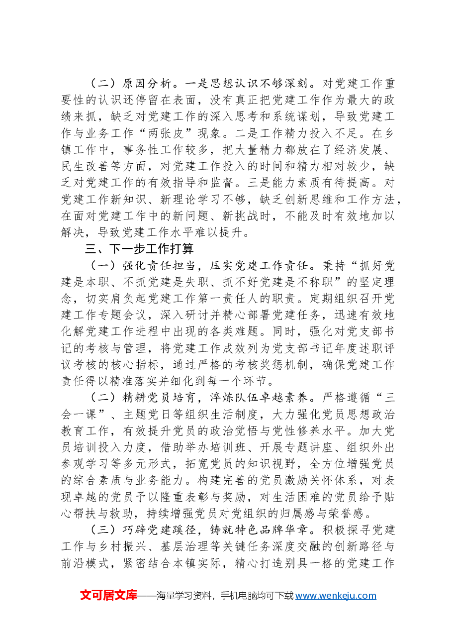 2024年度XX乡镇党委书记抓基层党建述职报告.docx,第3页预览