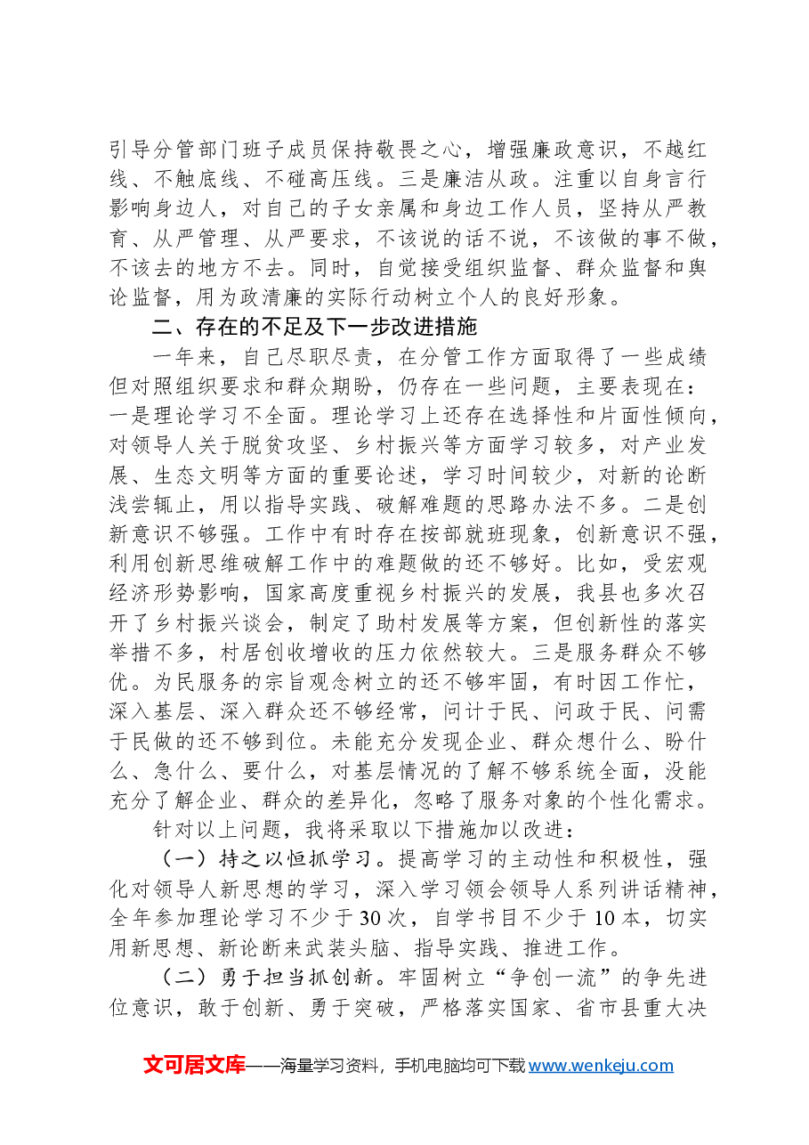 2024年度领导干部个人述职报告.docx,第3页预览